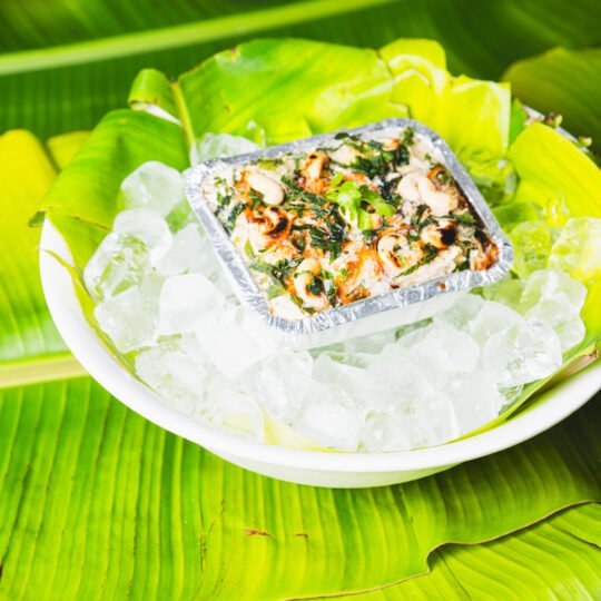 Biriyani Frozen _ 049